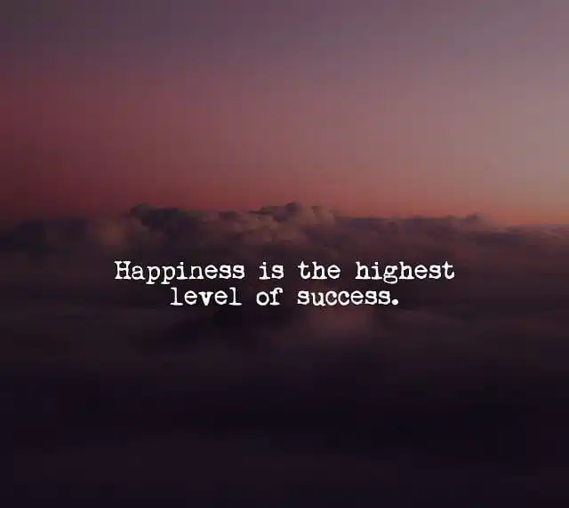 happiness is the highest level of success.