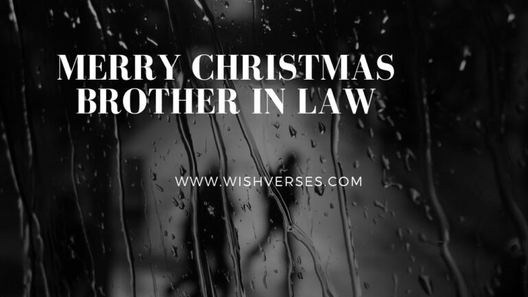 christmas wishes for brother in law