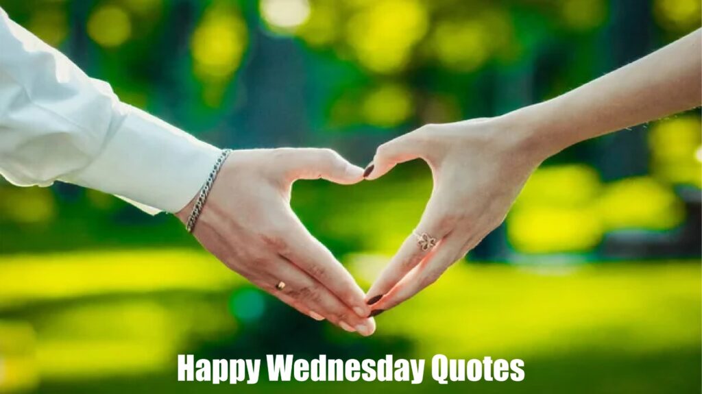 Happy Wednesday My Love Quotes