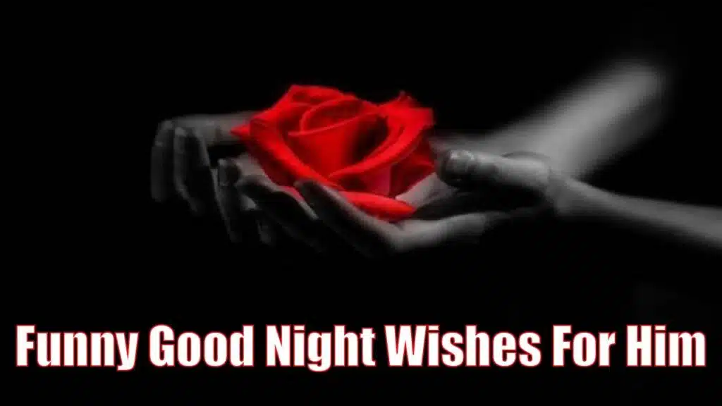 female hand holding red rose dark background and funny good night wishes for him text written at the bottom of the image