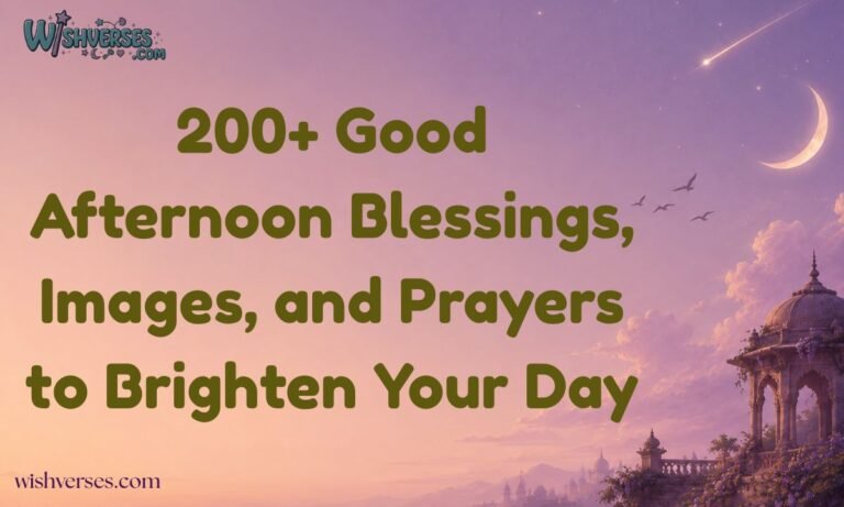 200+ Good Afternoon Blessings, Images, and Prayers to Brighten Your Day