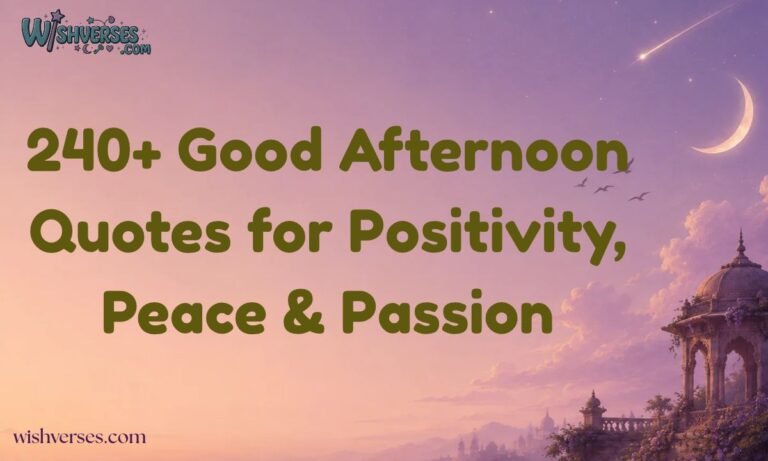 240+ Good Afternoon Quotes for Positivity, Peace & Passion