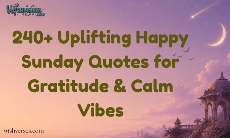 240+ Uplifting Happy Sunday Quotes for Gratitude & Calm Vibes